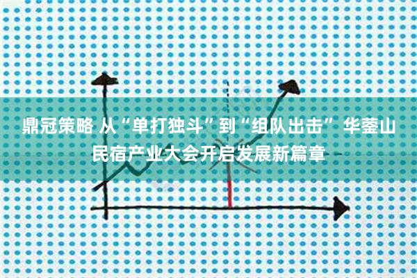 鼎冠策略 从“单打独斗”到“组队出击” 华蓥山民宿产业大会开启发展新篇章