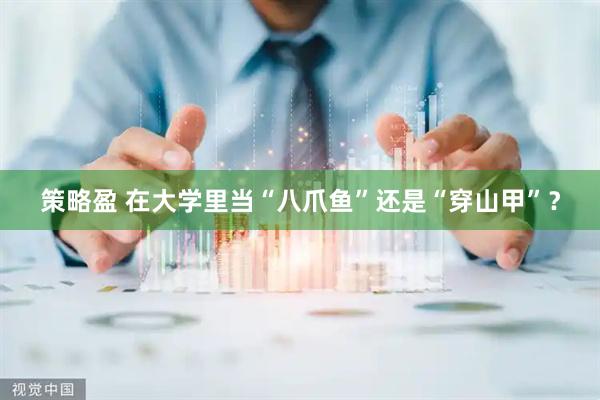策略盈 在大学里当“八爪鱼”还是“穿山甲”？