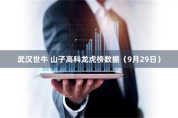 武汉世牛 山子高科龙虎榜数据（9月29日）