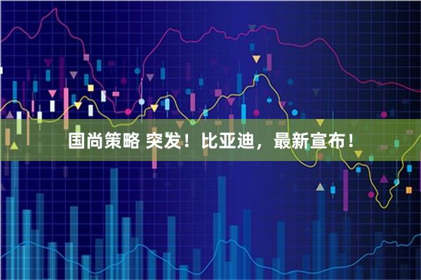国尚策略 突发!比亚迪,最新宣布!